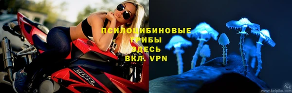 спиды Инта