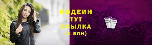 2c-b Инсар