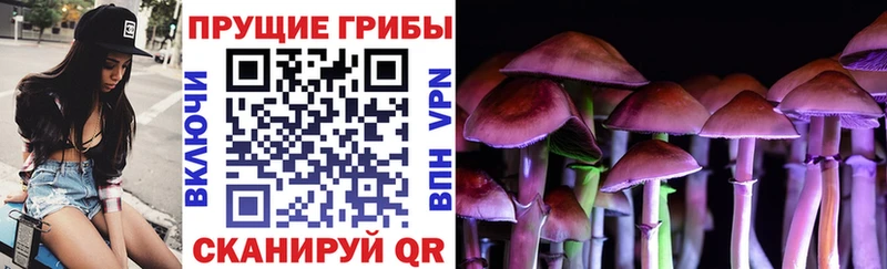Псилоцибиновые грибы GOLDEN TEACHER  Купить закладки  Ясногорск 